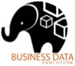 Business Data Evolution